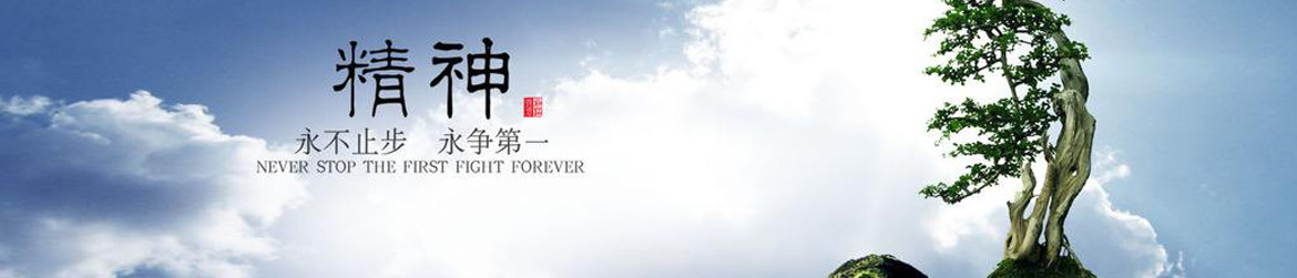 盛源公司-永不止步 盛源公司-永不止步